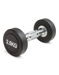 Гантель неразборная круглая 2,5 кг VF-R025 Victoryfit