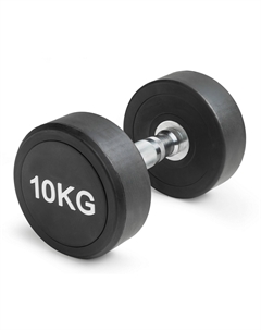 Гантель неразборная круглая 10 кг VF-R100 Victoryfit