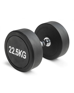 Гантель неразборная круглая 22,5 кг VF-R225 Victoryfit