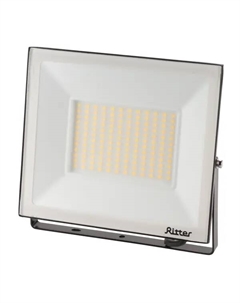 Прожектор светодиодный уличный Profi 53419 2 100 Вт 10000 Лм 180-240В нейтральный белый свет 4000К IP65 черный Ritter