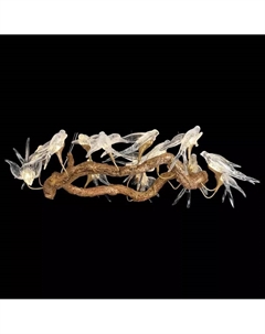 Подвесная люстра Viviana WE183.14.503 Wertmark