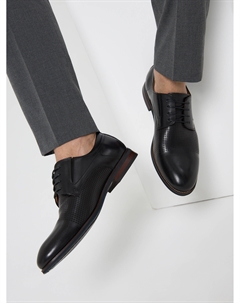 Дерби Salamander