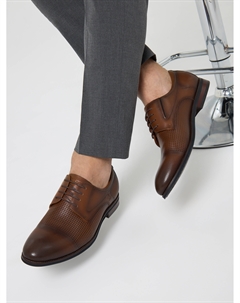 Дерби Salamander