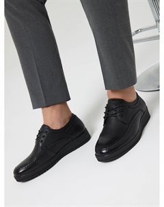 Дерби Salamander