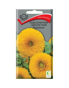Семена Подсолнечник однолетний Медвежонок 0,5г Поиск