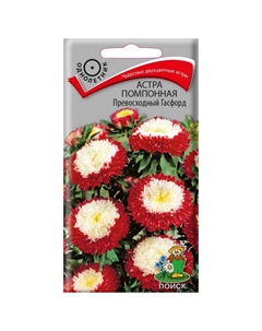 Семена Астра помпонная Превосходный Гасфорд 0,3г Поиск