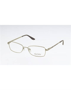 Оправа 741 SILVER Glory