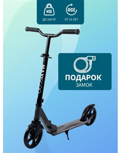 Самокат 2-х колесный Складной Серия "River" Maxiscoo