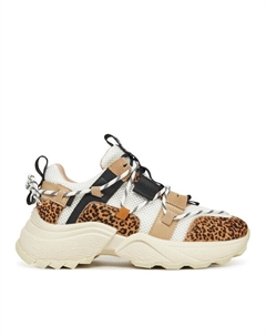 Кроссовки SM11003510, мультиколор Steve madden