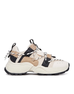 Кроссовки Tazmania SM11002419, экрю Steve madden