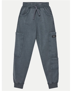 Облегающие спортивные штаны WC5120103SBJ, серый Coccodrillo