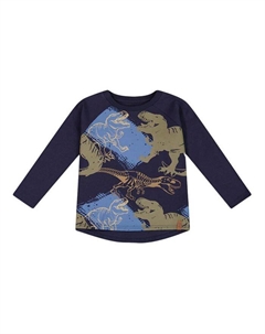 Футболка реглан для мальчиков с принтом динозавра - Little Kid, Big Kid, синий Deux par deux