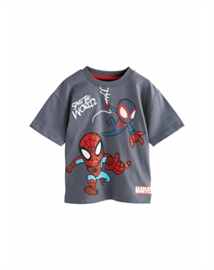 Футболка с принтом REGULAR FIT - SPIDER-MAN SHORT SLEEVE , серый Next
