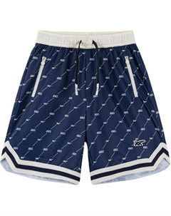 GS Шорты, темно-синий Asics