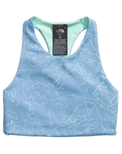 GS Жилет/слинг, цвет Steel blue print The north face