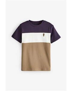 Футболка с короткими рукавами из 100% хлопка в стиле колор блок (3 16 лет), фиолетовый Next