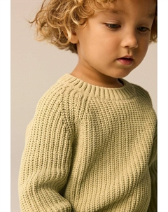 Свитер REGULAR FIT - CREW NECK, зеленый Next