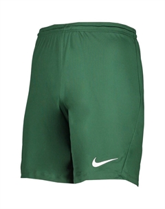 Тренировочные брюки, цвет Grass Green Nike