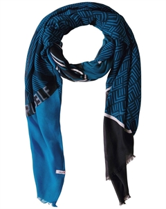 Шарф Scarf, синий Cecil