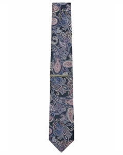 Галстук PATTERN WITH CLIP REGULAR, цвет blue navy pink paisley Next