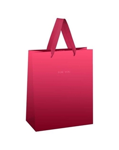 Пакет подарочный Duotone. Magenta gradient, отд. фольгой, матовая ламинация, 18 х 23 х 10 см Meshu