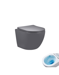 Унитаз подвесной Tr2122TF-Dgm Gid