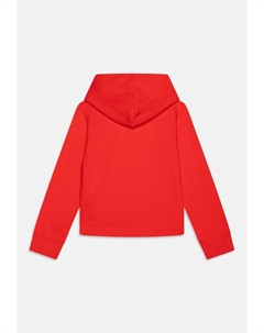 Толстовка с капюшоном COLOUR LOGO HOODIE, светло-красный Calvin klein