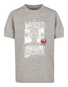 Футболка, цвет heather grey F4nt4stic