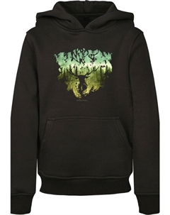 Пуловер с капюшоном, черный F4nt4stic