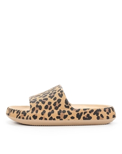 Сабо Lolli|polli