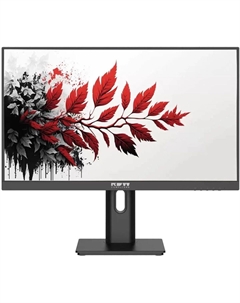 Монитор 27" 2701K IPS, 2560x1440 (16:9), 350кд/м2, 100 Гц, 1 мс, 178°/178°, HDMI, DisplayPort, USB Type-C, USB-Hub, черный (2701K/Q03В3100V2A1) Rdw