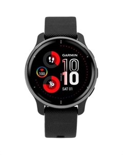 Умные часы Garmin VENU 2 Plus, серебристый/черный