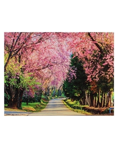 Картина-холст на подрамнике Nobrand