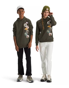 Детский флисовый пуловер с капюшоном Smokey Camp, цвет New Taupe Green The north face