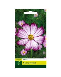 Семена Космея бело-розовая 0,3г Северный огород