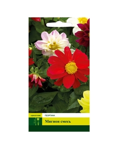 Семена Георгина Мигнон смесь 0,2г Северный огород