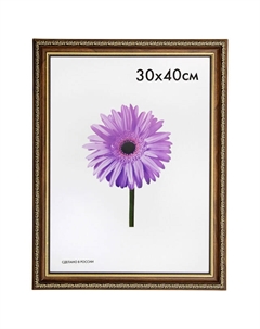 Фоторамка DOROTHY 300х400мм коричневая пластик Нет марки