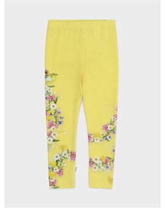Леггинсы, цветочный принт Molo