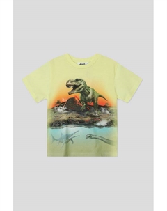 Футболка хлопковая с принтом Molo