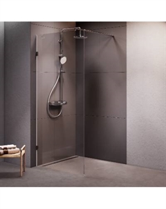 W94WI-90-F1-MTE Душевая перегородка 90x195 см Am.pm.