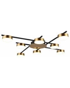 Потолочная люстра Delayn APL.042.07.56 Aployt