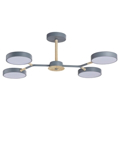 Потолочная люстра Lumion BRAD Odeon light