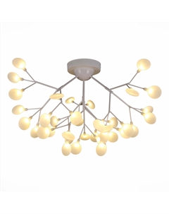 Потолочная люстра AVOLA Evoluce