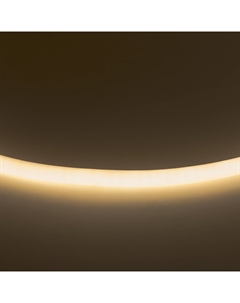 Лента белого свечения Neoled Lightstar