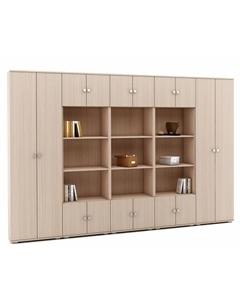 Шкаф комбинированный Тунис-8 Вмф