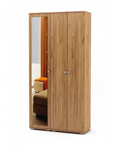 Шкаф платяной Тунис-6 Вмф