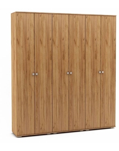 Шкаф платяной Тунис-9 Вмф