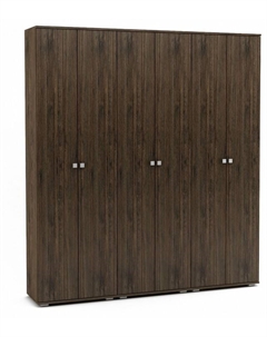 Шкаф платяной Тунис-9 Вмф