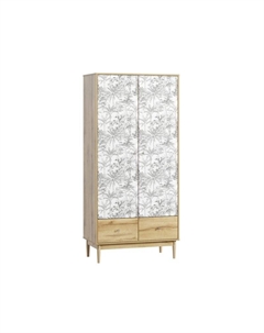 Распашной шкаф Тайрон-2 Jungle Диван.ру