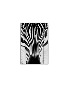 Картина на дереве Зебра 1 60х90 см Дом корлеоне